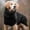O754 Black XXL, variant on Clearance Sale! Autumn and Winter Cute Pet Clothes Pet Dog Thick Warm Clothing Supplies Pet Sweater Birthday Gift for Pet Dog Cat Xxl Happy 2026!