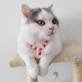 thumbnail image 1 of CBFFDC Pet Supply Pet Collar Skin Touch Pearls Colored Beads Trendy Personality Multicolor Adjustable Accessories, 1 of 6
