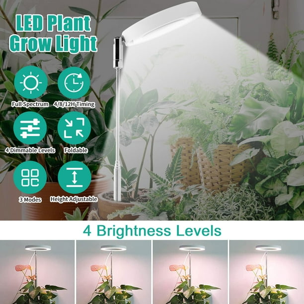 EastVita A Mené la Plante Télescopique Grow Light Lampe de Croissance de Plante à Spectre Complet pour les Plantes d'Intérieur Succulentes