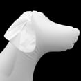 thumbnail image 3 of UEETEK Inflatable Dog Clothing Model White PVC Display Stand for Decor, 3 of 8