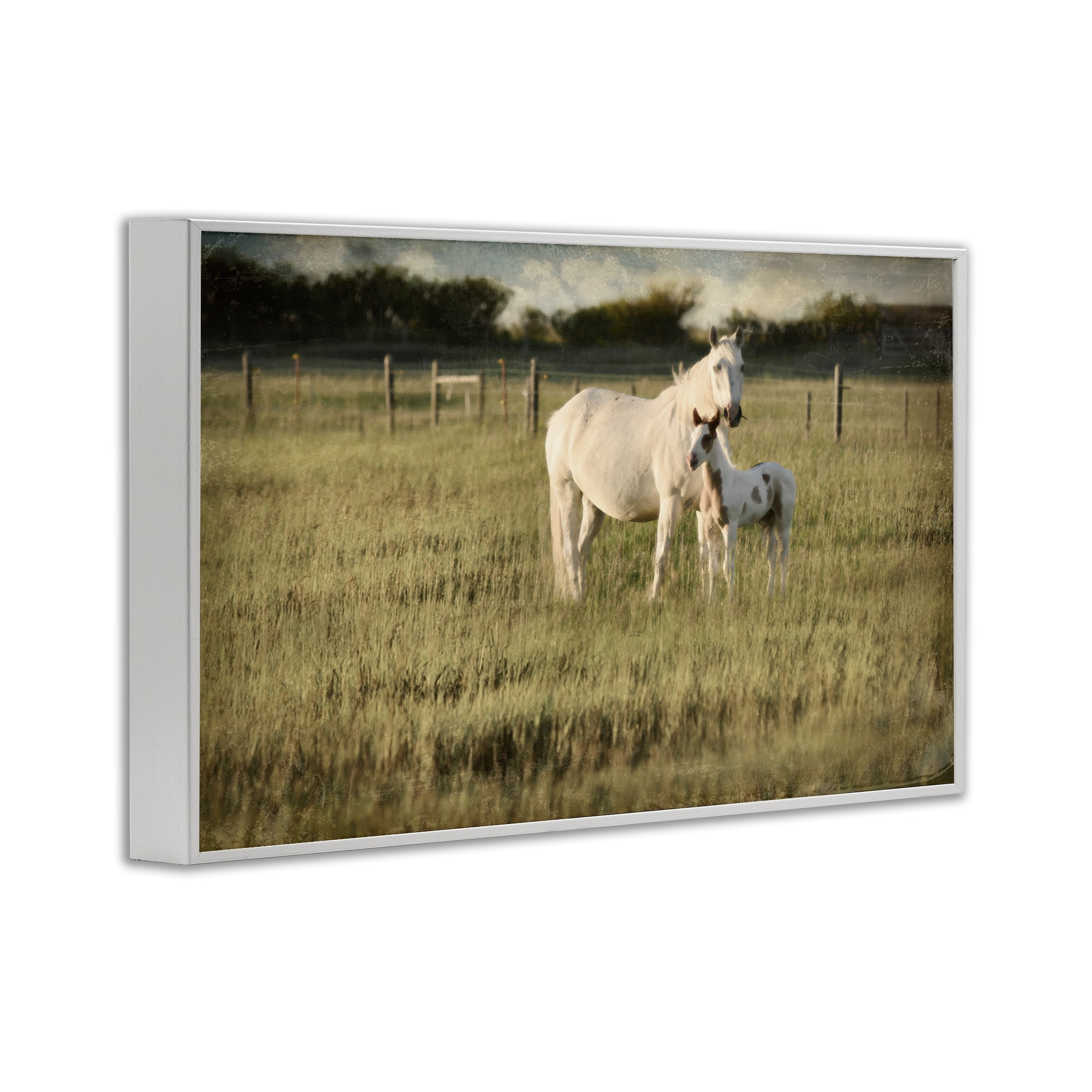 Stupell Industries Rural Horse and Foal Landscape Photography White Framed Art Print Wall Art, 24 x 16