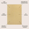 thumbnail image 3 of JONATHAN Y TUSCAN SUN 4 x 6 Area Rug, Aimee Traditional Cottage Checkerboard - Yellow/Cream, TSN204C-4, 3 of 9