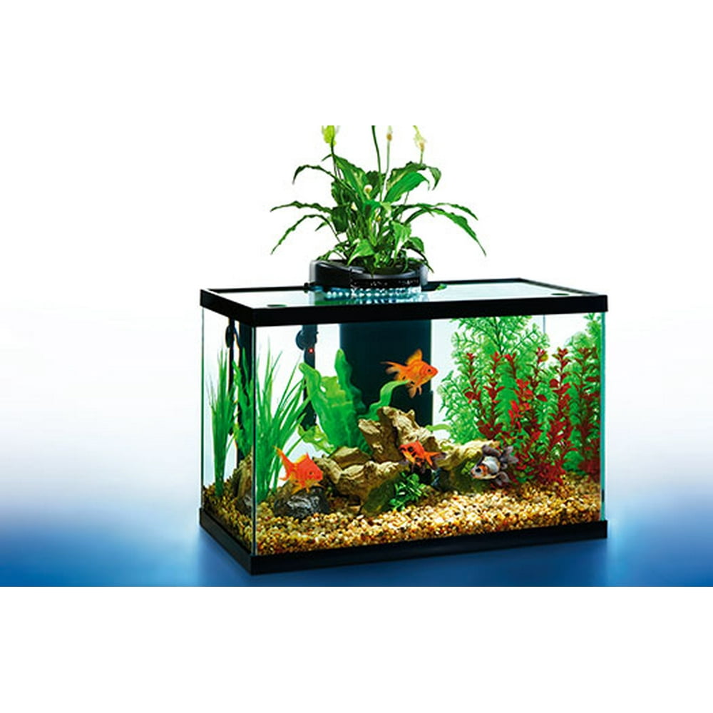 AquaDuo LED Aquarium Kit, 10Gallon