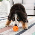 thumbnail image 3 of Bolas De Juguete Para Perros Iq Treat Ball Dispensación De Alimentos Tot Tricky Treat Ball Atractivo Y Divertido Juguete Para Perros Kearding PT001483-02, 3 of 7