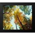 thumbnail image 2 of Wilson, Kali 17x15 Black Modern Framed Museum Art Print Titled - Looking Up, 2 of 5