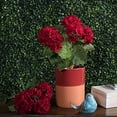 thumbnail image 2 of Vickerman 18" Géranium Rouge Artificiel Buisson, 2 of 2