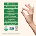 thumbnail image 2 of Suplemento Orgánico Organic India Liver Kidney Care 90 Cápsulas x6, 2 of 5