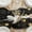 Black, variant on Cheesecloth Table Runners, 10Ft/6Ft Gauze Table Runner Rustic Wedding Cheese Cloths Decor for Bridal Baby Shower Birthday Party Centerpiece Christmas Thanksgiving Decorations