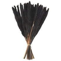 30Pcs Black Pampas Grass, 17 Inch Natural Dried Small Stems for Home Wedding Decor Flower Arrangements,De