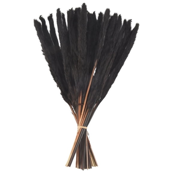 30Pcs Black Pampas Grass, 17 Inch Natural Dried Small Stems for Home Wedding Decor Flower Arrangements,De