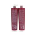 Ice Cream Color Perfect Shampoo and Conditioner, Ideal For All Colored