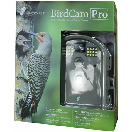 Wingscapes Birdcam Pro | wingscapes birdcam pro walmart com Wingscapes Birdcam Pro | wingscapes birdcam pro walmart com