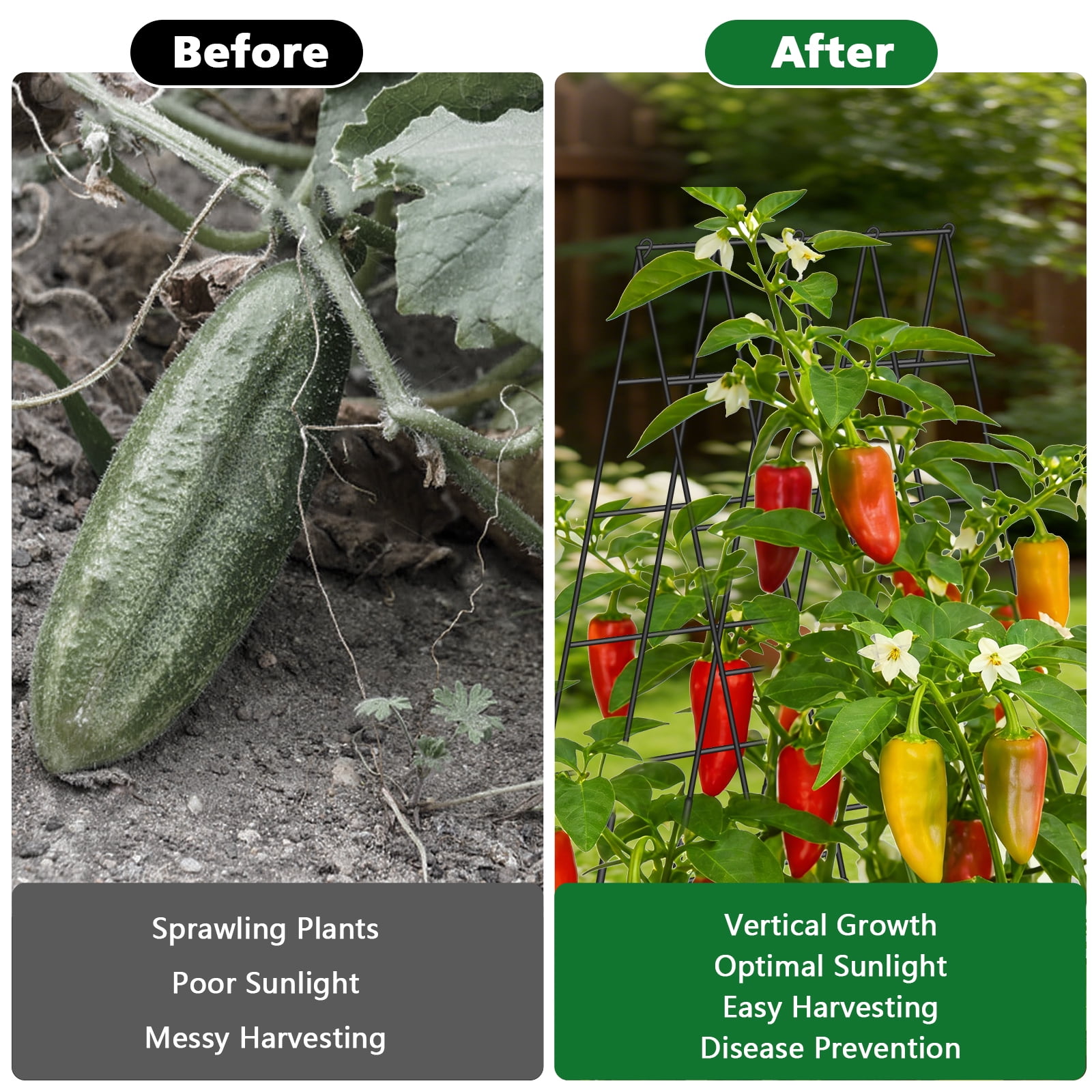 ROMUCHE 2 Pack Trellis 39” A-Frame Cucumber Folding Garden Trellis for Climbing Plants Outdoor