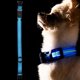 thumbnail image 5 of Correa de nailon reflectante con carga USB para paseos nocturnos seguros (M) Conjunto de collar y correa LED impermeable para perros, 5 of 8