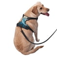 thumbnail image 2 of Kdxio Iceberg Bald Eagle Print No Pull Dog Harness Adjustable Reflective Oxford Easy Control Medium Large Dog Harness for Training and Everyday-Medium, 2 of 6
