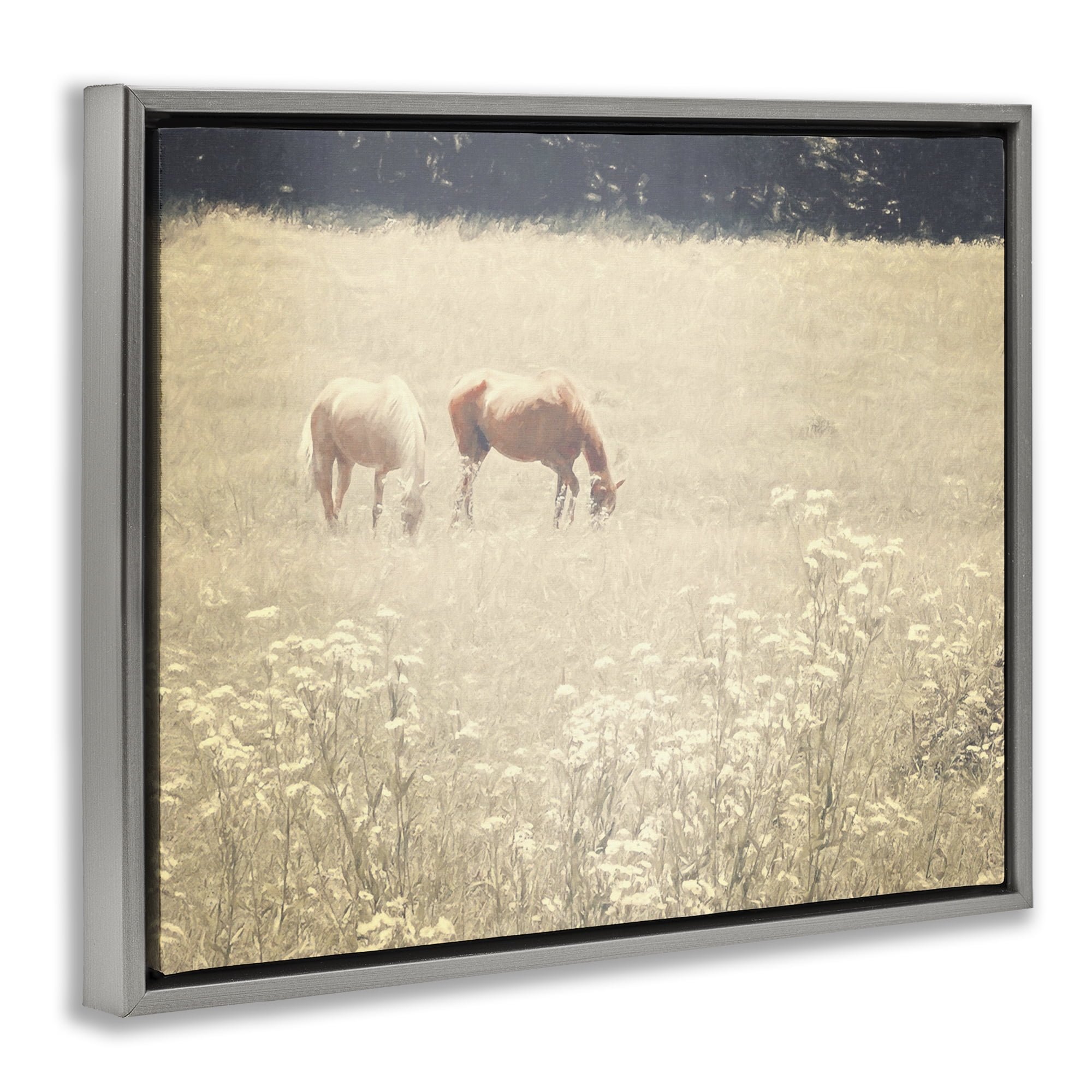 Stupell Industries Pair of Horses Grazing Landscape & Nature Photography Gray Floater Framed Canvas Art Print Wall Art, 21 x 17