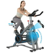 LNOW PooBoo Gray Magnetic Indoor Exercise Stationary Cycling Bike Workout for Home Office Cardio Maximum User Weight 360 lb