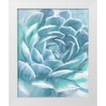 thumbnail image 1 of Murdock, Ramona 12x14 White Modern Wood Framed Museum Art Print Titled - Aqua Succulent, 1 of 4