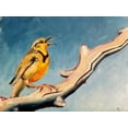 thumbnail image 1 of Meadowlark CANVAS OR PRINT WALL ART, 1 of 1