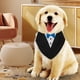 thumbnail image 1 of Pañuelo Formal de Esmoquin para Perro Elegante y Decorativo Pajarita Ajustable Collar de Bandana para Perro Baberos Triangulares para Perro Pañuelo de Boda para Perro ANGGREK  Otros, 1 of 8