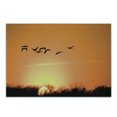 thumbnail image 1 of Birds Cutting Board, Bird Migration over Desert Autumn View at Sunset Evening Seasonal Picture Print, Decorative Tempered Glass Cutting and Serving Board, Small Size, Orange Black, by Ambesonne, 1 of 1