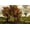 Unframed, variant on Art.com Autumn Landscape with Four Trees Art Print by Vincent van Gogh, 18" x 12"