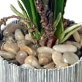 thumbnail image 2 of National Tree Artificial 30" Garden Accents Potted Flower, 2 of 4