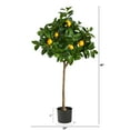 thumbnail image 2 of Nearly Natural 4' Lemon Artificial Tree, 2 of 4
