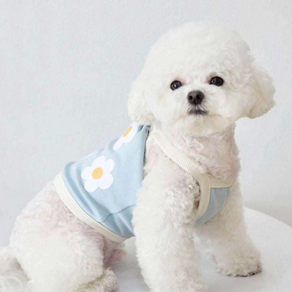 dog clothes