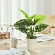 thumbnail image 4 of Artificial Potted Plants Realistic Simulation Green Plants Indoor Home Desk Bookshelf Decor Faux Greenery Decorative Houseplants for Living Room Office, 4 of 6
