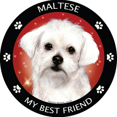 Maltese My Best Friend Magnet