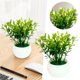 thumbnail image 2 of Plantas artificiales de PYPESEEWY en liquidación, bonsái verde artificial para interiores, arbustos topiarios verdes artificiales en macetas para casas, casas de campo, baños, decoración del hogar., 2 of 5