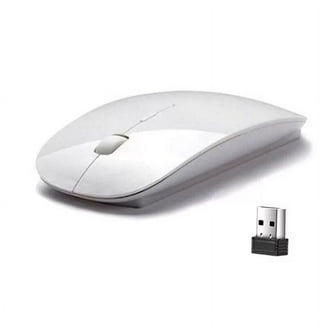 Apple Wireless USB-C Magic Mouse with Multi-Touch Surface, Black