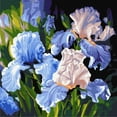 thumbnail image 4 of Painting by Numbers kit Bright irises KHO3190, 4 of 4