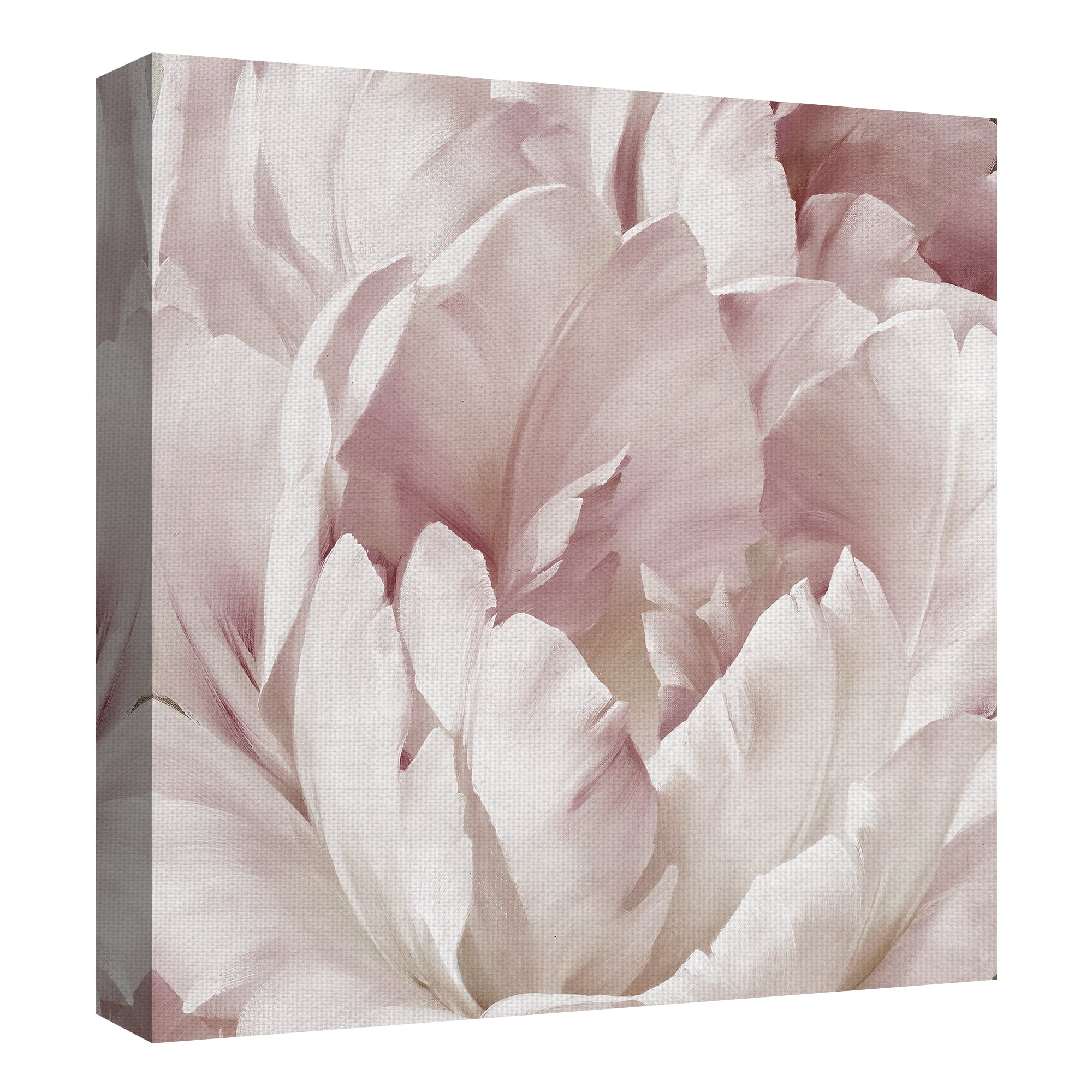 Masterpiece Art Gallery Intimate Blush III Rose Petals By Igor Levashov Canvas Art Print 24" x 24"