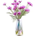 thumbnail image 1 of Florero de cristal moderno Ins Florero de cristal transparente irised para la decoración de la oficina en el hogar Ormromra CZJJ-ZH12-3, 1 of 6
