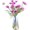 Neon Clear, variant on RunMin Grocery Store Modern Glass Vase Crystal Clear Glass Vase for Home Office Decor (Crystal Grey)