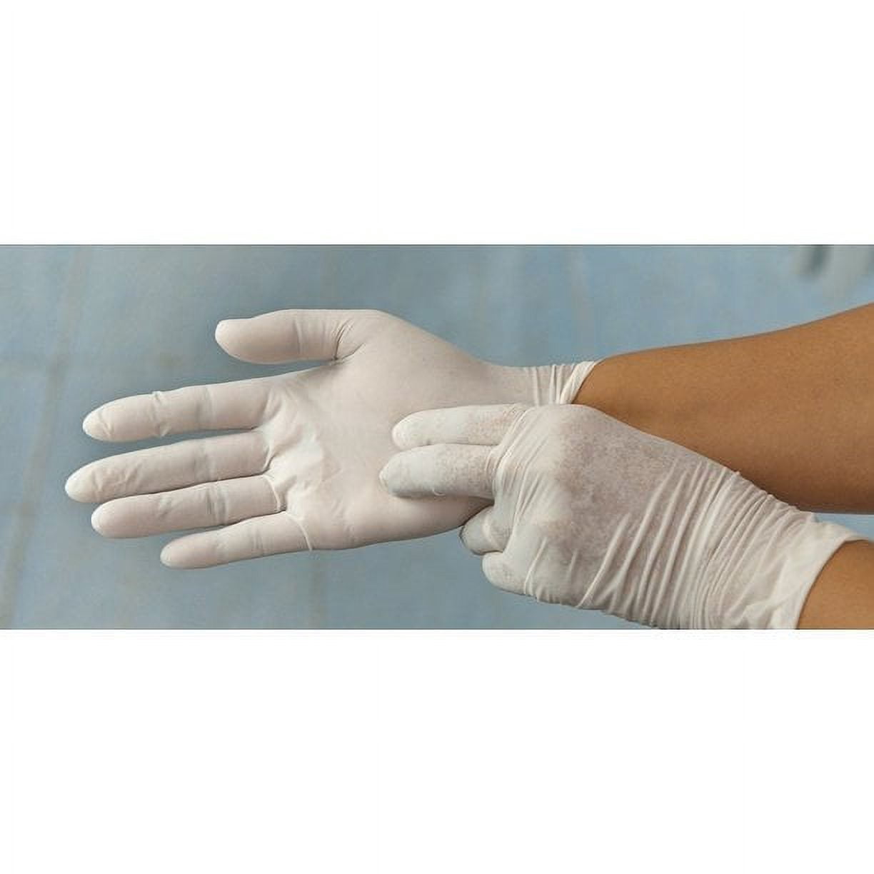 CareMates Latex-PF Examination Gloves, Large, 100 Count