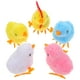 thumbnail image 1 of 5 piezas de pollo de peluche realista Juguete para niños Partes de la fiesta de Pascua Favores de la fiesta de primavera, 1 of 5