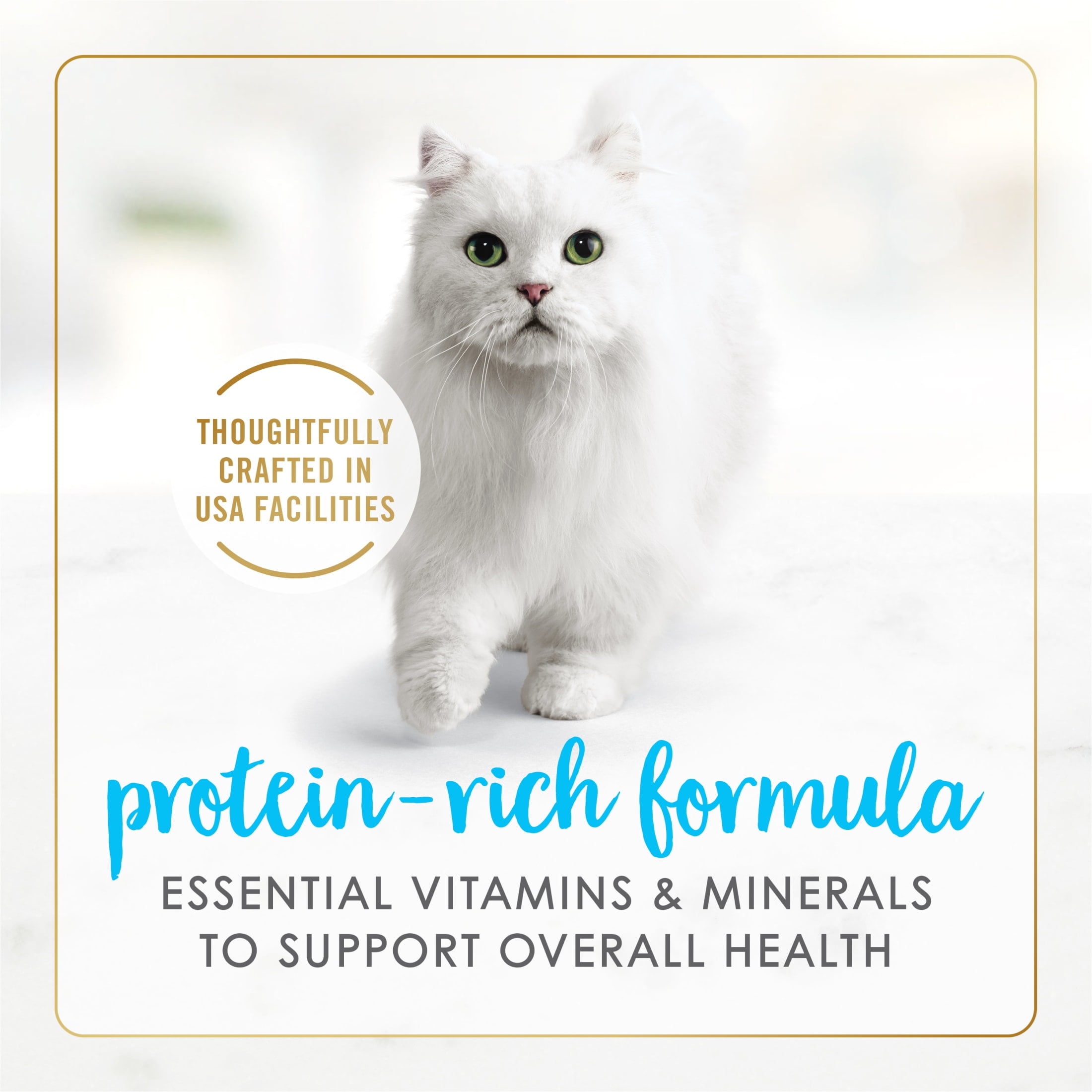 (6 pack) Purina Fancy Feast Delights with Cheddar Wet Cat Food, Grilled Tuna & Cheddar, 3 oz Can
