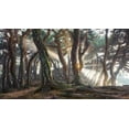 thumbnail image 2 of Ryu, Jaeyoun 14x9 White Modern Wood Framed Museum Art Print Titled - Sacred Pine Trees, 2 of 4