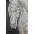 thumbnail image 2 of Addison Rugs Mayfield Premium Machine Washable Transitional Animal Ivory Rectangle Rug, 10' X 14' Machine Washable Transitional Animal Ivory Oversized Sherpa Throw Blanket, 2 of 6