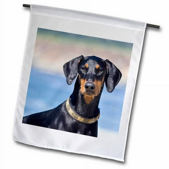 3dRose, Portrait of a Doberman Pinscher dog - US05 ZMU0280 - Zandria Muench Beraldo, 12 x 18 inch Garden Flag