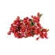 thumbnail image 2 of Cateissary Craft Mixed Red Artificial Flower Cherry Stamen Berries Bundle DIY Christmas Wedding Cake Caja de regalo Decoración Flores artificiales Tipo9 10 piezas Cateissary HA002022-09, 2 of 5