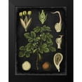 thumbnail image 2 of Vision Studio 12x14 Black Modern Framed Museum Art Print Titled - Study in Botany IV, 2 of 5