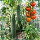 thumbnail image 3 of Red de enrejado para plantas de jardín, red de soporte para plantas trepadoras, red de enrejado de jardín para cultivo de plantas, red de cuerda Flexible, 3 of 5