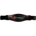 thumbnail image 5 of Kids Champion Belly Protector, Child and Youth for MMA Belly Protection, Boxing, Kickboxing, Muay Thai, Training and Sparring, Rib Guard, 5 of 11
