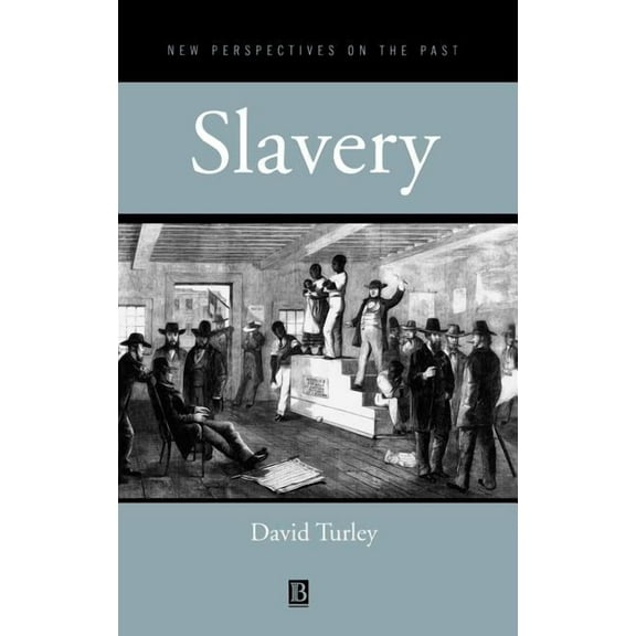 New Perspectives on the Past Slavery, (Hardcover)