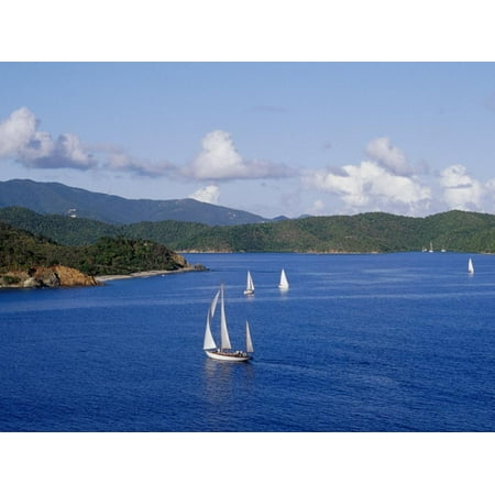 Sailboats, Coral Bay, St. John, Caribbean Sea Print Wall Art By Jim