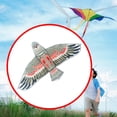 thumbnail image 1 of Cometa de águila, regalo de cumpleaños de una sola línea con cuerda, cometa enorme, cometa de pájaro, cometa de animales Con, 1 of 8